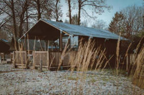 Glamping De Boshoek